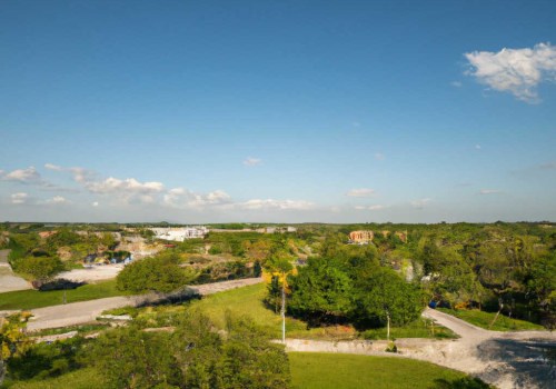 The Importance of Youth and Student Associations in Coral Springs, FL
